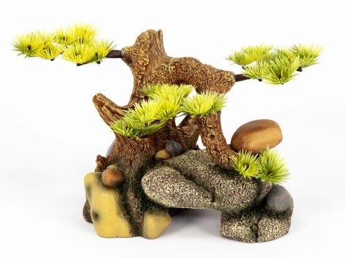 Aquatlantis Bonsai auf Stein – Ornamente und sonstige Dekoration für das Aquarium bei AquascapingForLife