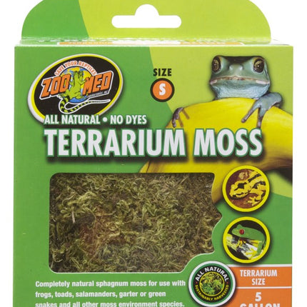 Terrarium Moss – Bodengrund für das Aquarium bei AquascapingForLife