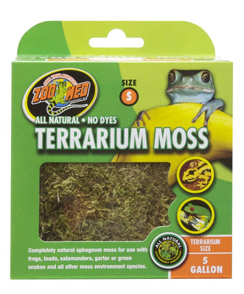 Terrarium Moss – Bodengrund für das Aquarium bei AquascapingForLife