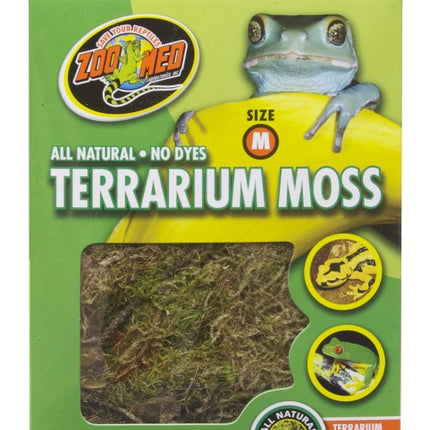 Terrarium Moss – Ansicht 2