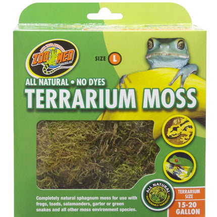 Terrarium Moss – Ansicht 3