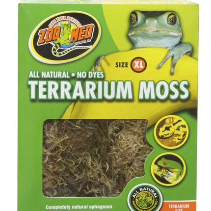 Terrarium Moss – Ansicht 4