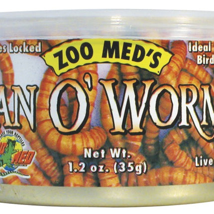 Can O' Worms 35 g (300 worms) – Fischfutter für das Aquarium bei AquascapingForLife