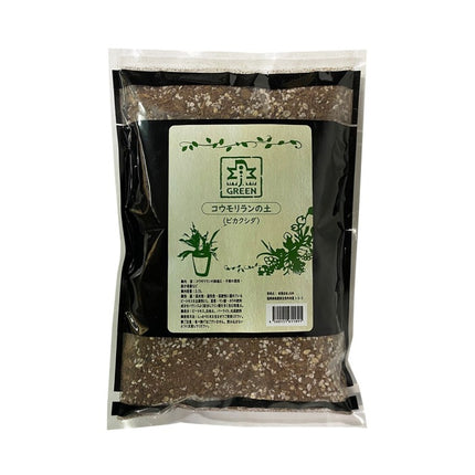 J. Green Soil Staghorn Fern – Ansicht 2
