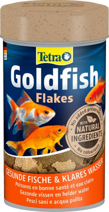 Tetra Goldfisch – Ansicht 2