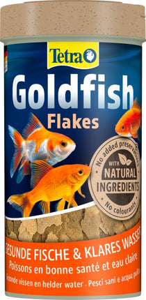 Tetra Goldfisch – Ansicht 3