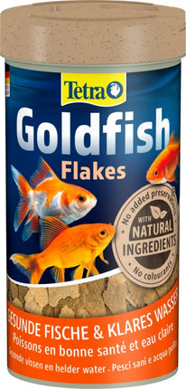 Tetra Goldfisch – Ansicht 4