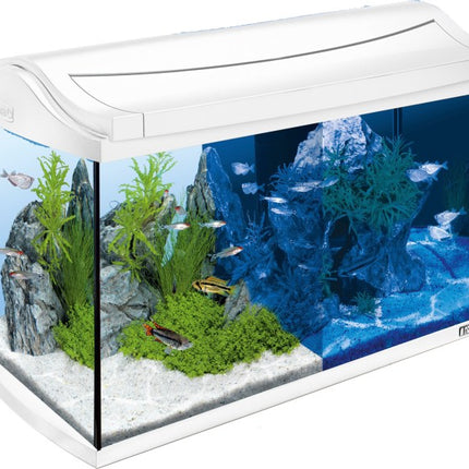 Tetra AquaArt LED Discovery Line 60 L weiß – Ansicht 2