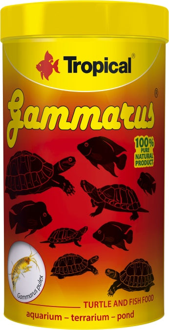 Tropical Gammarus – Fischfutter für das Aquarium bei AquascapingForLife