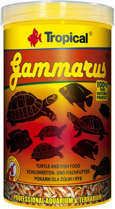 Tropical Gammarus – Ansicht 2