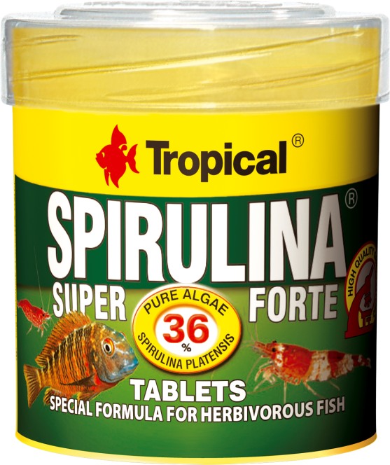 Tropical Spirulina Forte Tablets – Fischfutter für das Aquarium bei AquascapingForLife