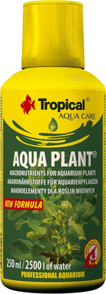 Tropical Aqua Plant – Ansicht 2