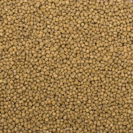 Tropical Koi Silkworm & Astaxanthin Pellets – Ansicht 2