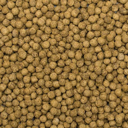 Tropical Koi Silkworm & Astaxanthin Pellets – Ansicht 4