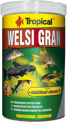 Tropical Welsi Gran – Ansicht 2