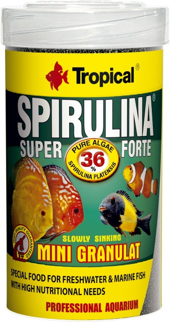 Tropical Spirulina % Granulat – Fischfutter für das Aquarium bei AquascapingForLife