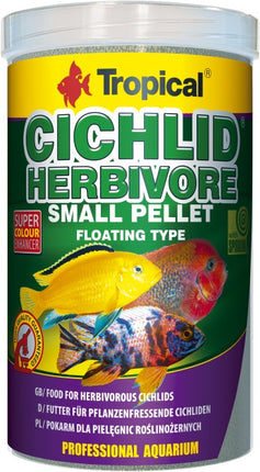 Tropical Cichlid Herbivore – Ansicht 2