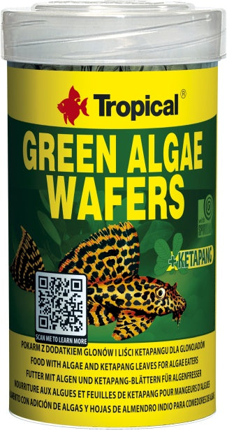 Tropical Green Algae Wafers – Fischfutter für das Aquarium bei AquascapingForLife