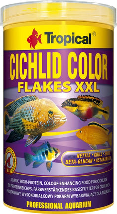Tropical Cichlid Color – Ansicht 2