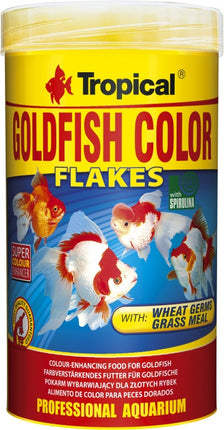 Tropical Goldfish Color – Ansicht 2