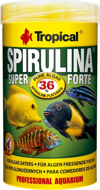 Tropical Spirulina Forte % – Fischfutter für das Aquarium bei AquascapingForLife