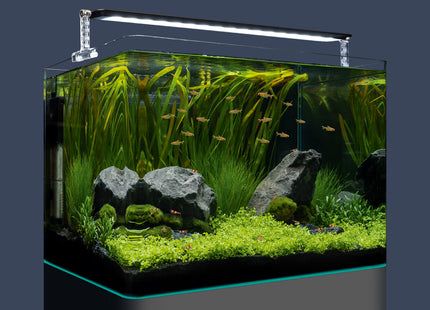 Dennerle Nano Tank PLANT PRO