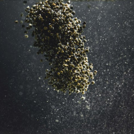 StreamBiz Buntbarsch Spirulina Softgranulat – Ansicht 6