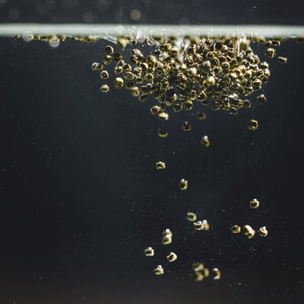 StreamBiz Crusta Plus Insekten Chips (40 g) – Ansicht 3