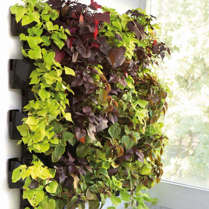 Aquael Wall Module VERSA GARDEN Starter Kit – Ansicht 3