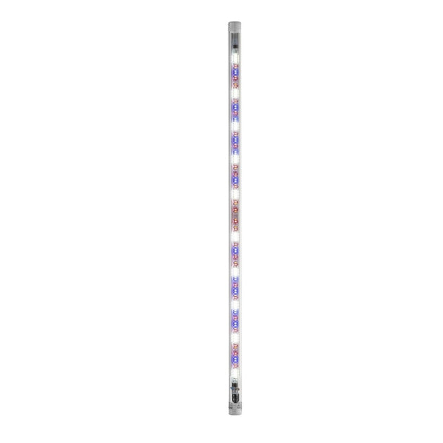 Aquael LEDDY TUBE 14W Plant 2.0 – Aquarium-Beleuchtung für das Aquarium bei AquascapingForLife