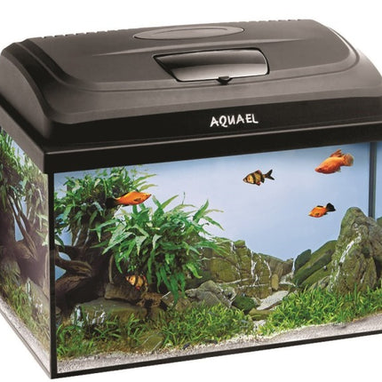 Aquael Aquarienset CLASSIC BOX 40 Day&Night – Aquarien für das Aquarium bei AquascapingForLife