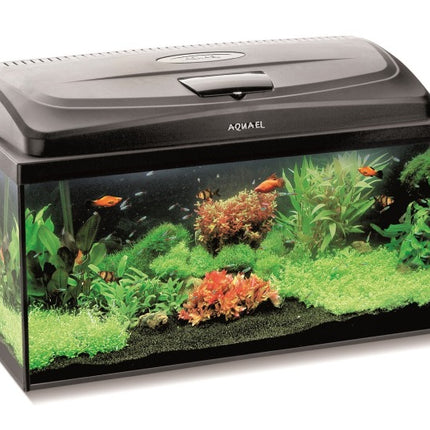 Aquael AQUARIUM SET CLASSIC BOX 60/P D&N – Aquarien für das Aquarium bei AquascapingForLife