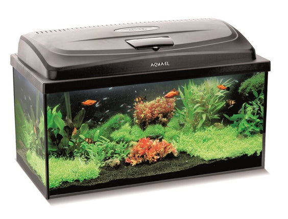 Aquael AQUARIUM SET CLASSIC BOX 60/P D&N – Aquarien für das Aquarium bei AquascapingForLife