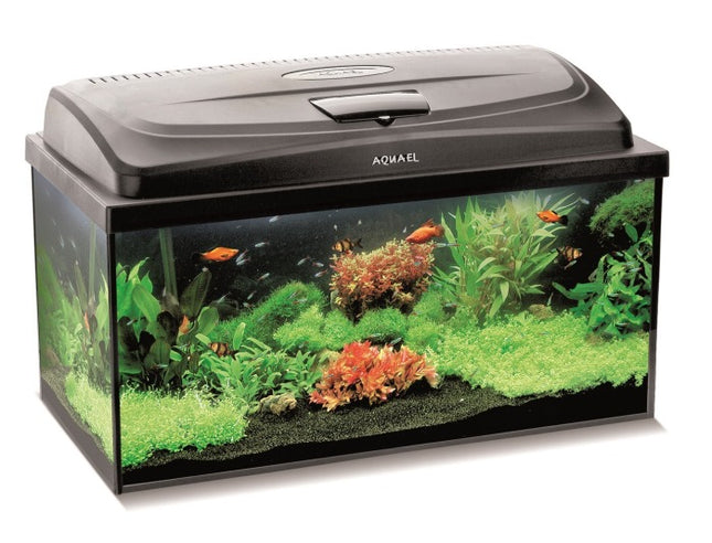Aquael AQUARIUM SET CLASSIC BOX 60/P D&N – Aquarien für das Aquarium bei AquascapingForLife