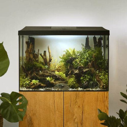 Aquael Aquarienset LEDDY Day&Night – Ansicht 9