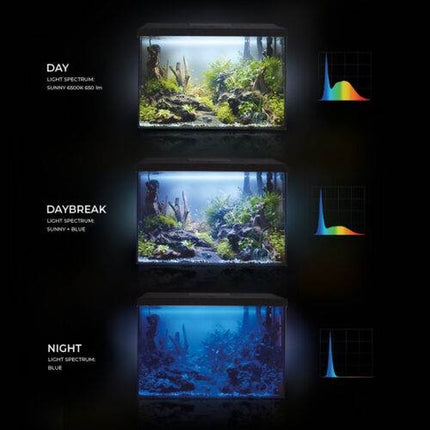 Aquael Aquarienset LEDDY Day&Night – Ansicht 11