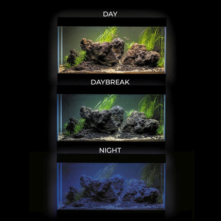Aquael GLOSSY Set 80 D&N schwarz Aquarium – Ansicht 2