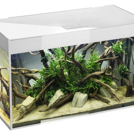 Aquael GLOSSY ST Set D&N Aquarium – Ansicht 49
