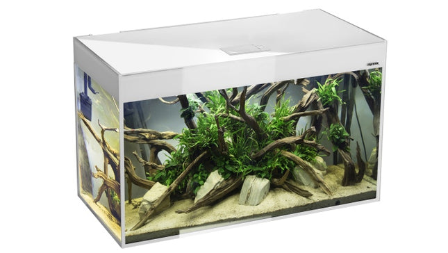Aquael GLOSSY ST Set D&N Aquarium – Aquarien für das Aquarium bei AquascapingForLife