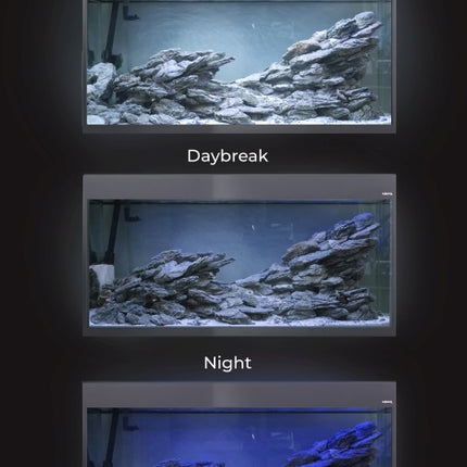 Aquael GLOSSY CUBE ST Set D&N Aquarium – Aquarien für das Aquarium bei AquascapingForLife