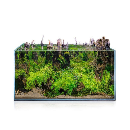 Aquael Opti Tank Scape 90 Aquarium (ohne Beleuchtung) – Ansicht 5