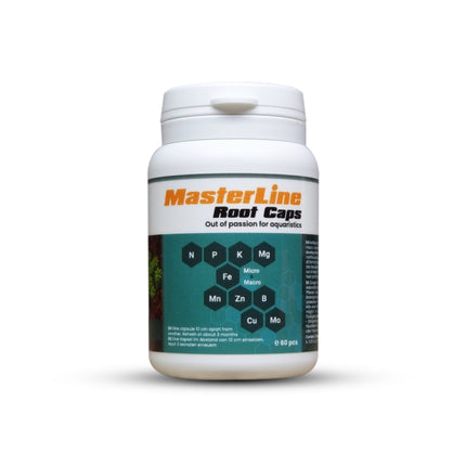 MasterLine Root Caps – Ansicht 3