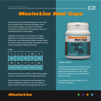MasterLine Root Caps – Ansicht 2