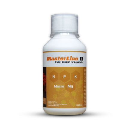 MasterLine II – Ansicht 7