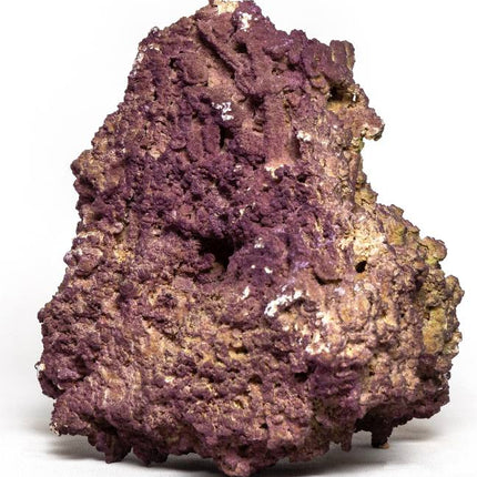 Aquadeco Jurassic Reef Rock Box – Ansicht 4
