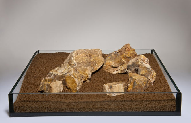 Aquadeco Versteinertes Holz bunt [P ] – Steine für das Aquarium bei AquascapingForLife