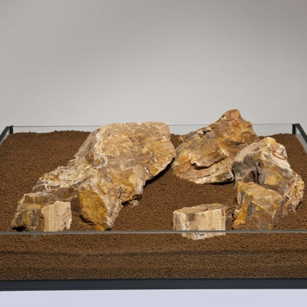Aquadeco Versteinertes Holz bunt S (0,8-1,2 kg) [P25] – Steine für das Aquarium bei AquascapingForLife