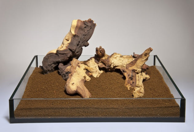 Aquadeco Mopani Holz [P ] – Hölzer und Wurzeln für das Aquarium bei AquascapingForLife
