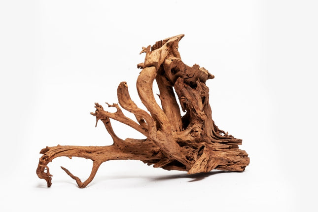 Aquadeco Mangrove gestrahlt – Aquarium-Deko für das Aquarium bei AquascapingForLife