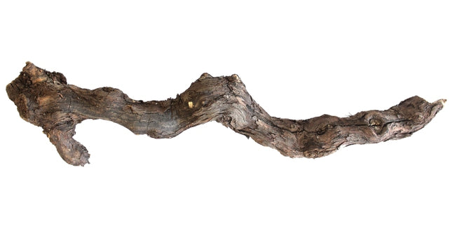 Aquadeco Weinstock S natur (20-39 cm) [P15] – Hölzer und Wurzeln für das Aquarium bei AquascapingForLife